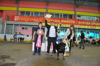 VFL.RU - ваш фотохостинг
