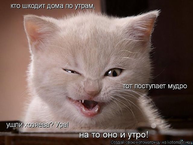 getImageшш