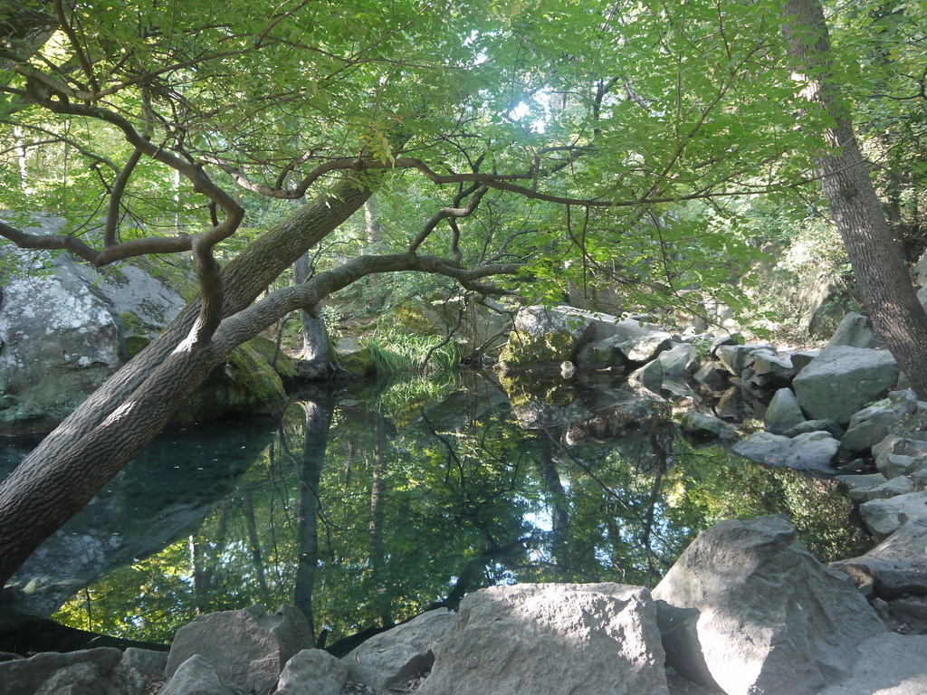 20-Воронцовский парк-2