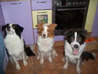 VFL.RU - ваш фотохостинг