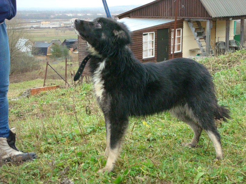 VlPGinLYxOE