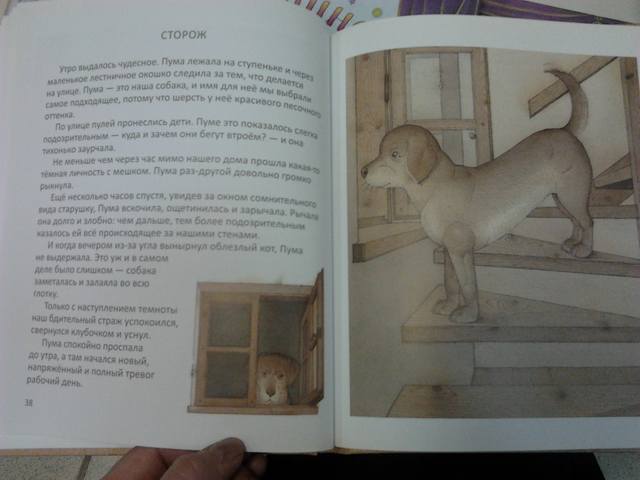 VFL.RU - ваш фотохостинг