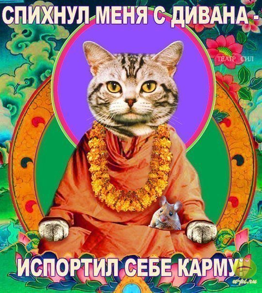 испортил карму