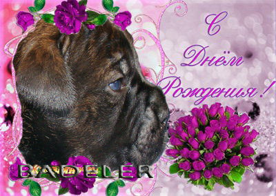Баделерi