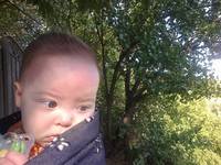 VFL.RU - ваш фотохостинг