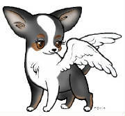 chihuahuaangel jpg w180h167