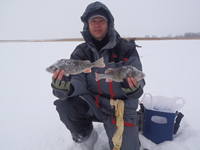 VFL.RU - ваш фотохостинг