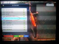 VFL.RU - ваш фотохостинг