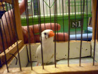 VFL.RU - ваш фотохостинг