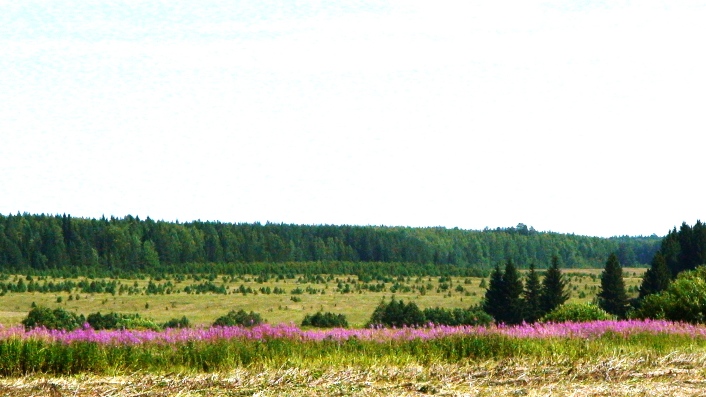 Изображение 671