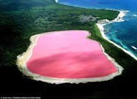 lake-hillier-pink-lake-in-australia-1