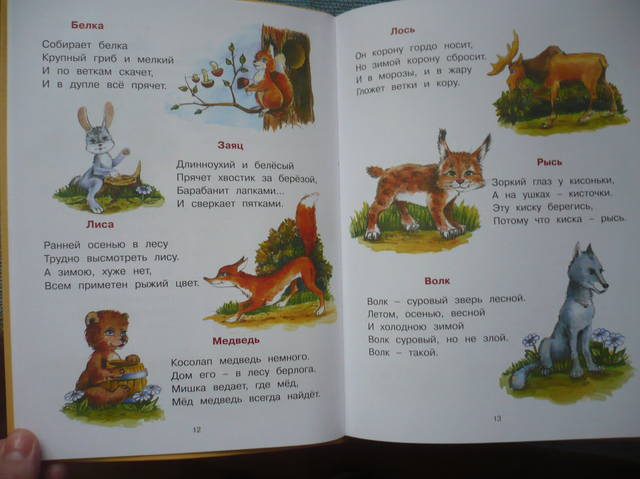 VFL.RU - ваш фотохостинг