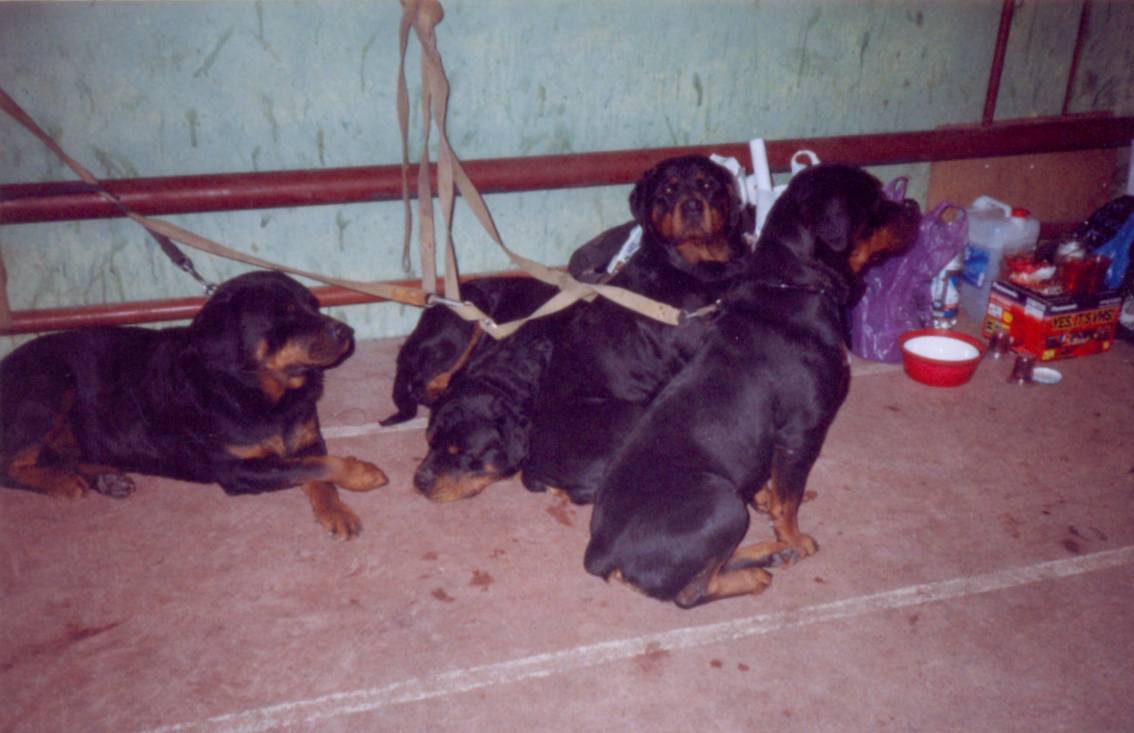 Scan0001
