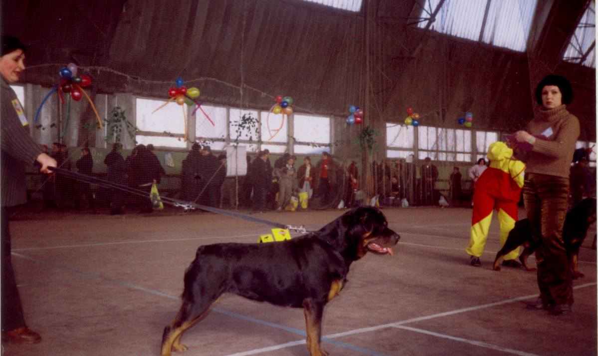 Scan0006