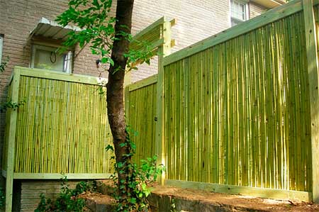 bamboo-fencing[1]