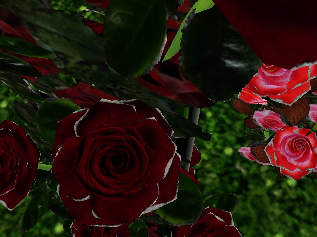Screenshot-10