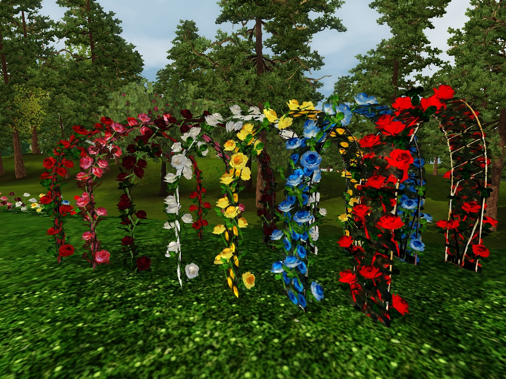 Screenshot-6