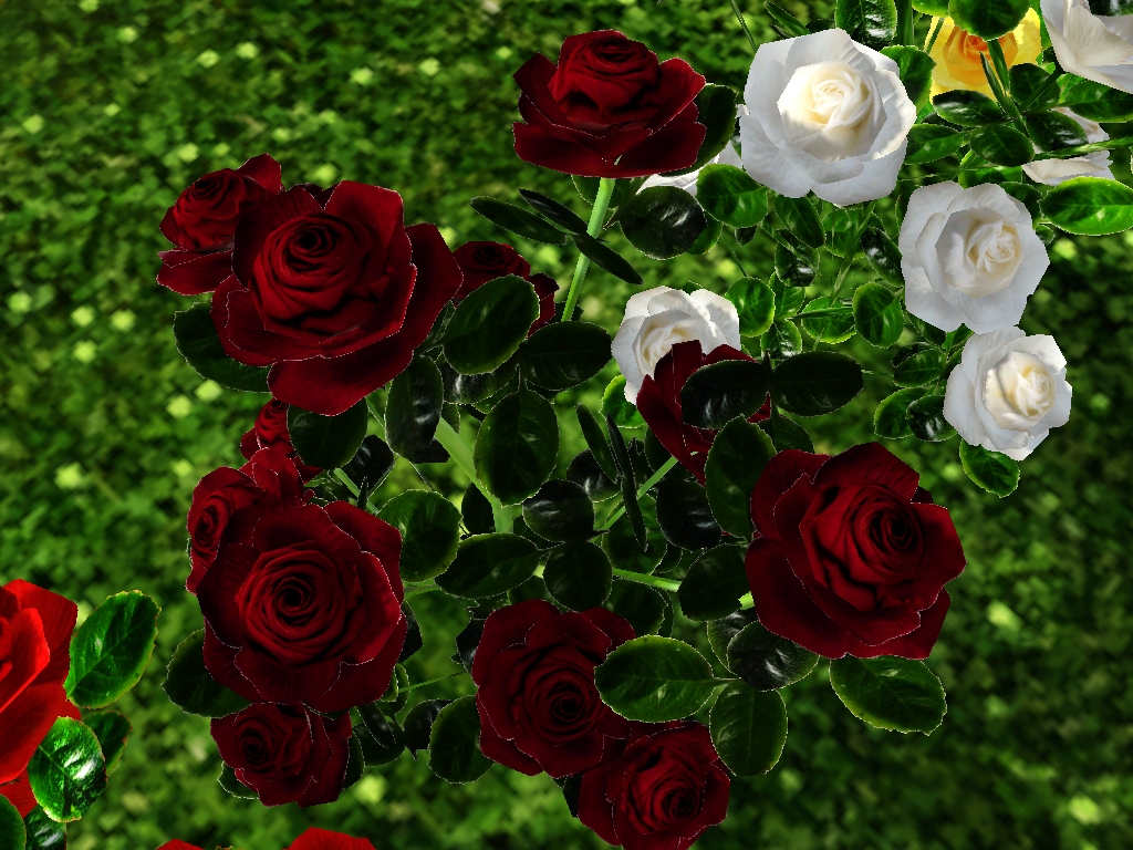 Screenshot-30