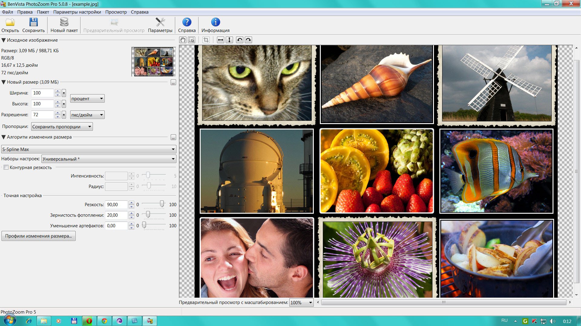 PHOTOZOOM Pro 6