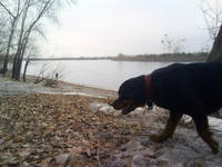 VFL.RU - ваш фотохостинг