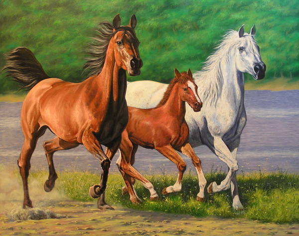 Horse family. Семья лошадей. Пара лошадей. Лошадь с жеребенком. Лошадь и два жеребенка.