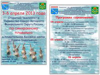 2013чемпионат синхрон1