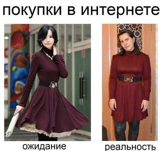 2g2ElvbjQwQ