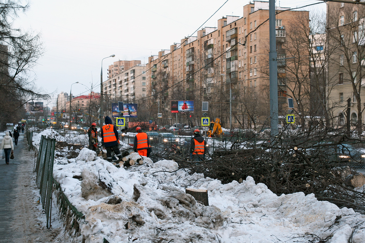 НПО Космос уничтожил сквер в СЗАО