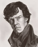 benedict cumberbatch by melissadalton-d5y5lhd