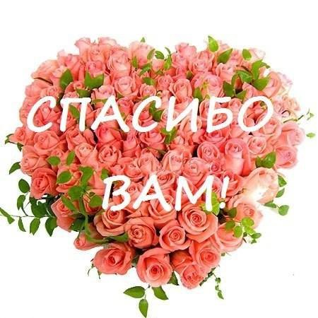 - bJ8zlhTUw