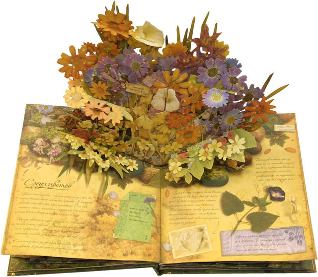 VFL.RU - ваш фотохостинг