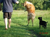 VFL.RU - ваш фотохостинг