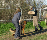 VFL.RU - ваш фотохостинг