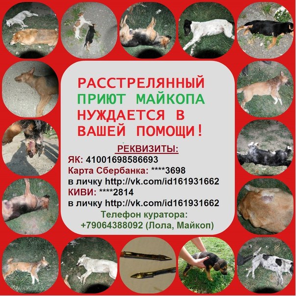 майкоп