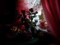 VFL.RU - ваш фотохостинг