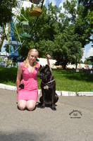 VFL.RU - ваш фотохостинг