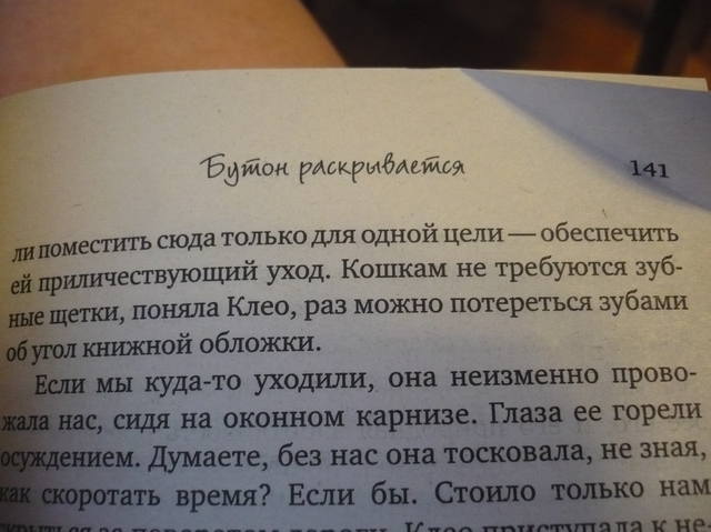 VFL.RU - ваш фотохостинг