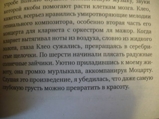 VFL.RU - ваш фотохостинг