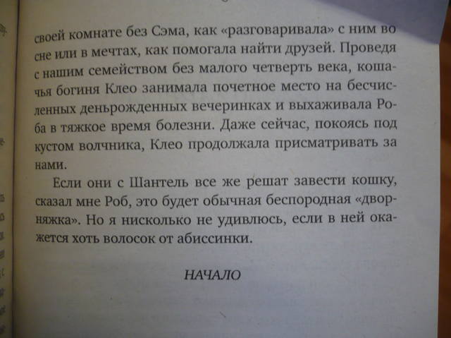 VFL.RU - ваш фотохостинг