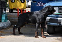 VFL.RU - ваш фотохостинг