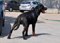 VFL.RU - ваш фотохостинг