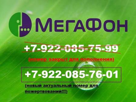 Купить Номер Мегафон Махачкале