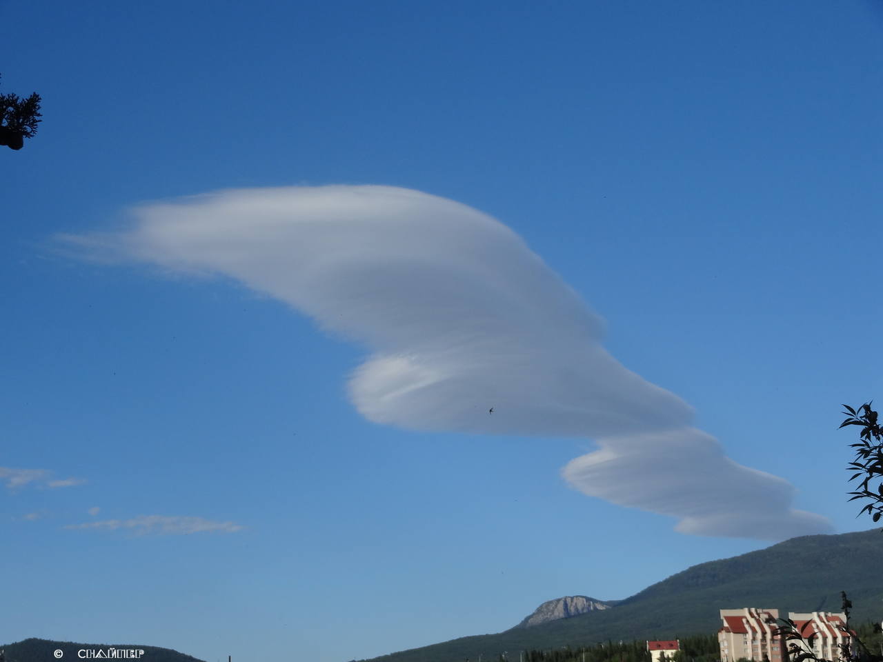 Крылья "ангела"