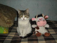 !IMG 8958