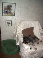 VFL.RU - ваш фотохостинг