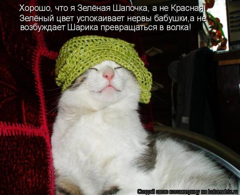 Успокаивающие картинки приколы, картинки