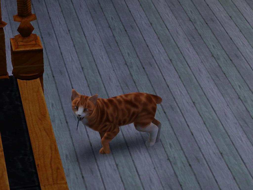 Screenshot-58