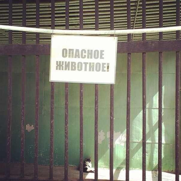 5ord6OFx7ME