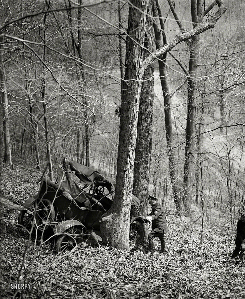 Аврия под Вашингтоном, 1923 год