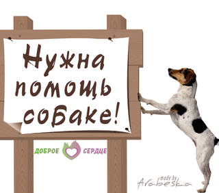 Диана (10)